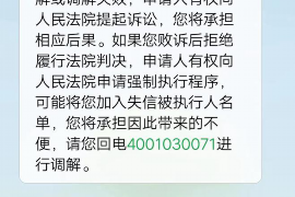 岐山为什么选择专业追讨公司来处理您的债务纠纷？